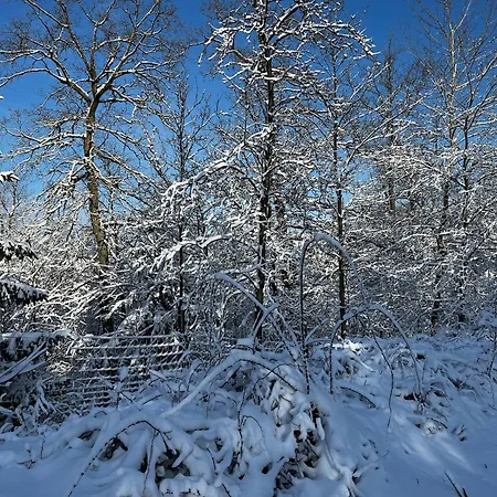 Lejlighed Fehaus Weltwald Harz *