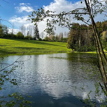 Fehaus Weltwald Harz Lejlighed Bad Grund