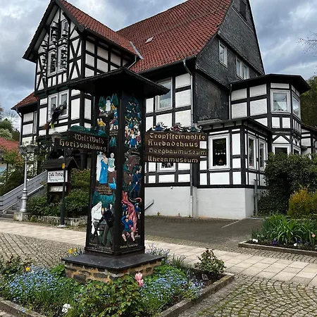 Apartment Fehaus Weltwald Harz Bad Grund
