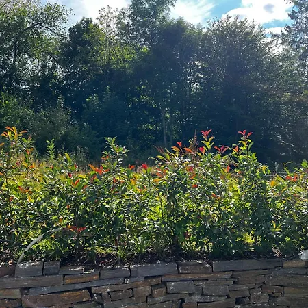 Lejlighed Fehaus Weltwald Harz *