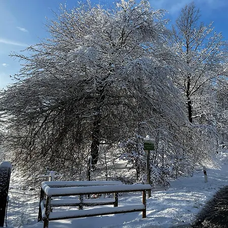Fehaus Weltwald Harz