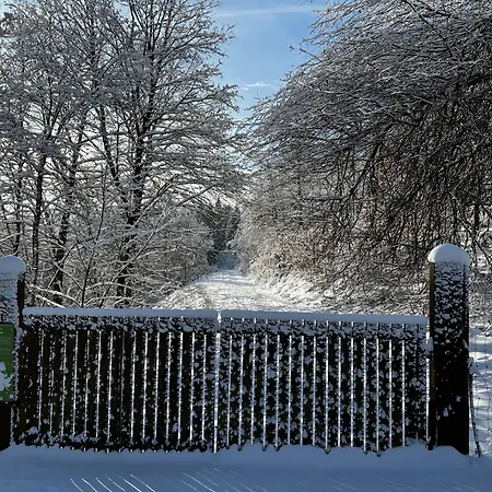 Lejlighed Fehaus Weltwald Harz *