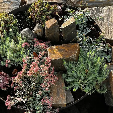 Fehaus Weltwald Harz Bad Grund